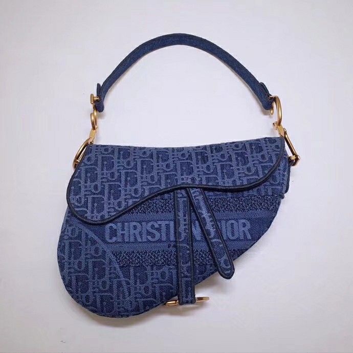 Christian Dior Saddle Bag-CD50086